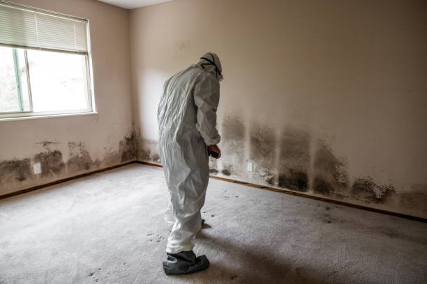 Mold Remediation for Vacation Homes in Castleton On Hudson, NY